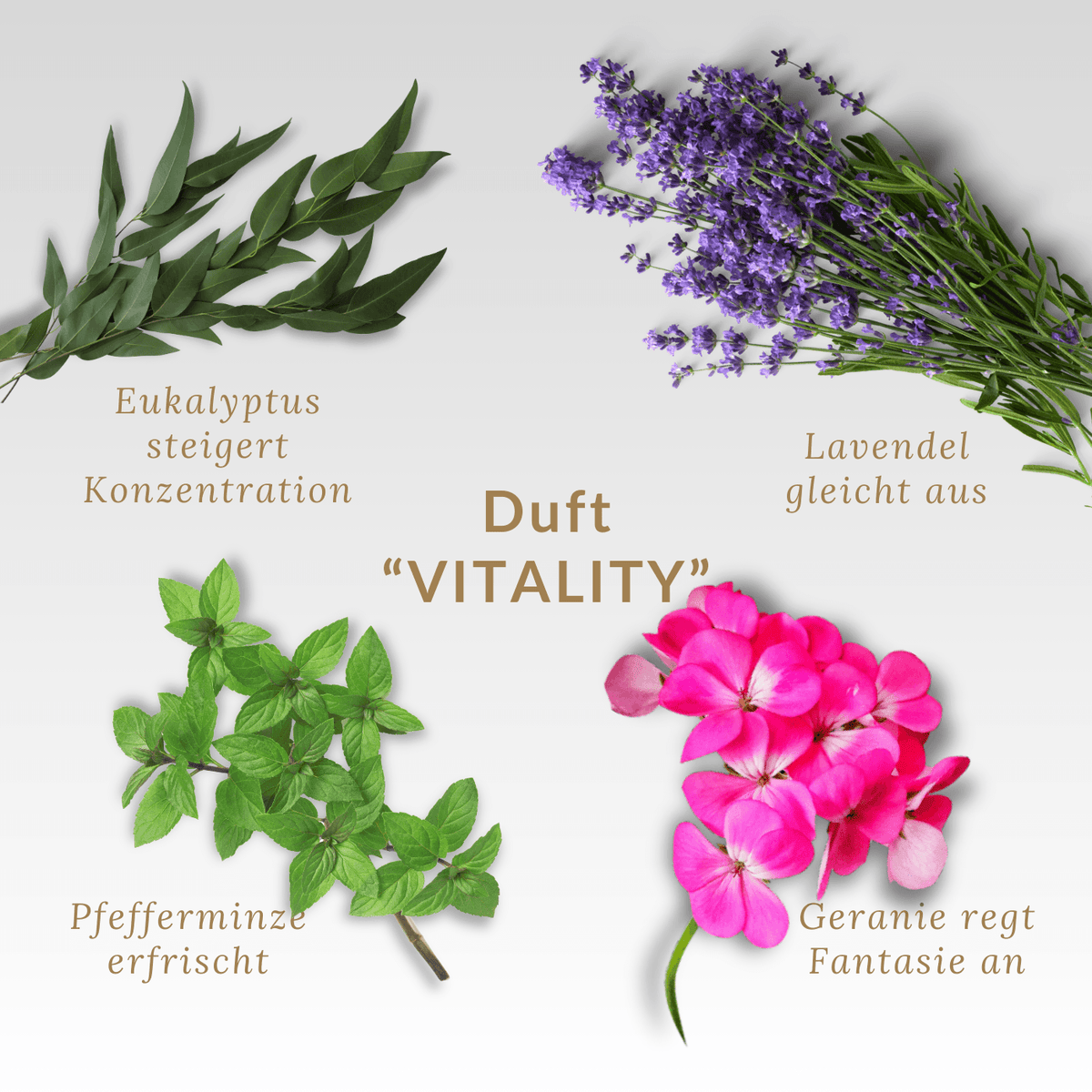 Nach der Aromatherapie erfrischt die Duftmischung „Vitality” mit Pfefferminz- und Eukalyptusöl und gleicht aus.
